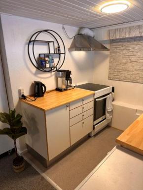 1-Room Apartment In City Center